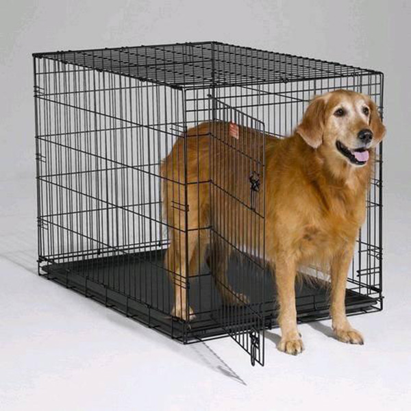 Dog-cage-013